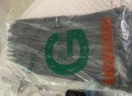 Water Pump Assembly